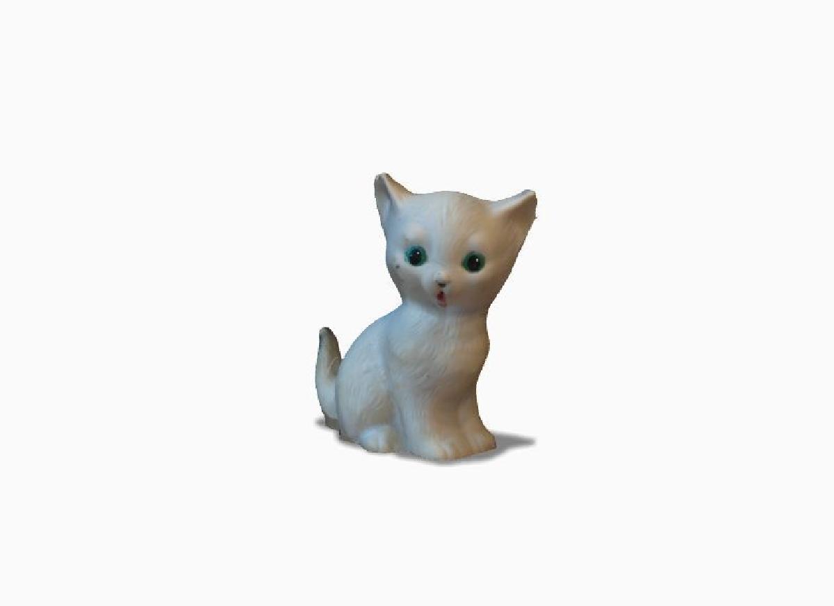 meu gato da minha mae