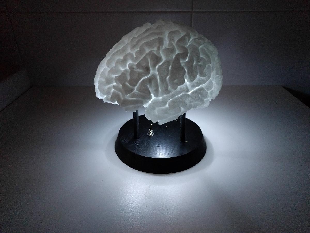 Cerebro iluminado por LED com suporte para bateria
