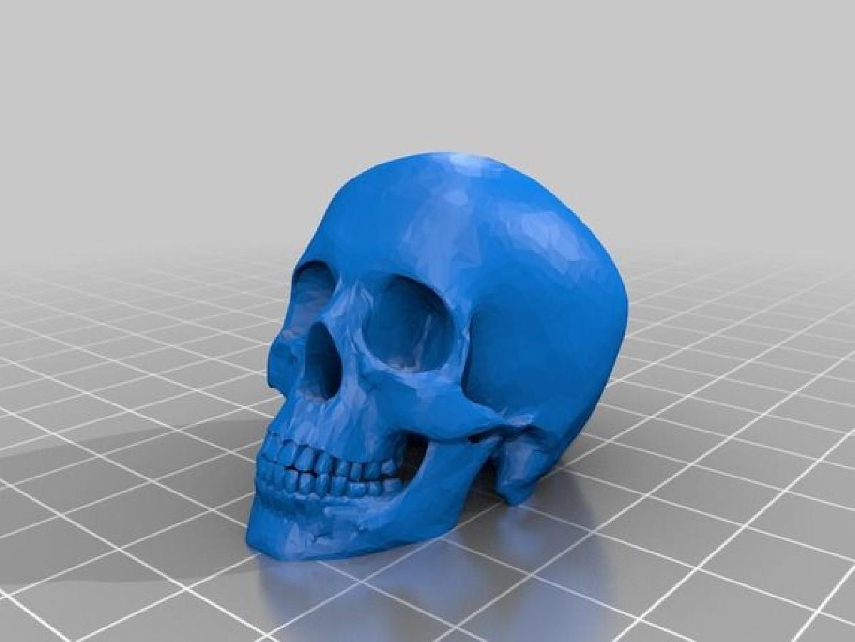Cabo de puxar em forma de cranio