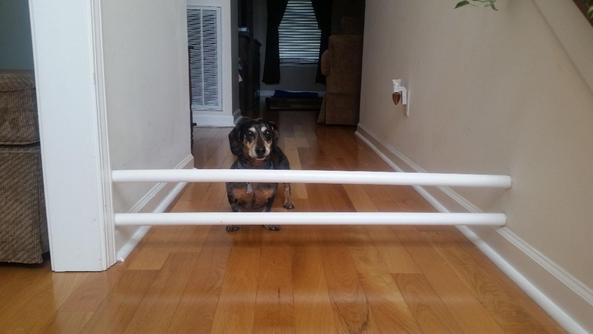 Extremidades da Porta para Caes Pergo