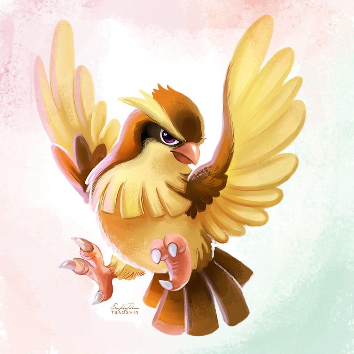 Pidgey