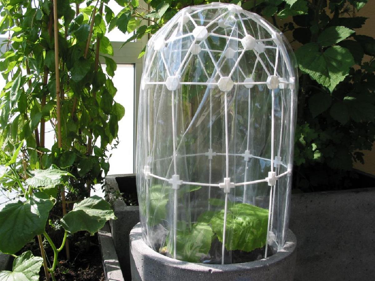 Greenhouse Dome (clicavel) / Treibhausdom