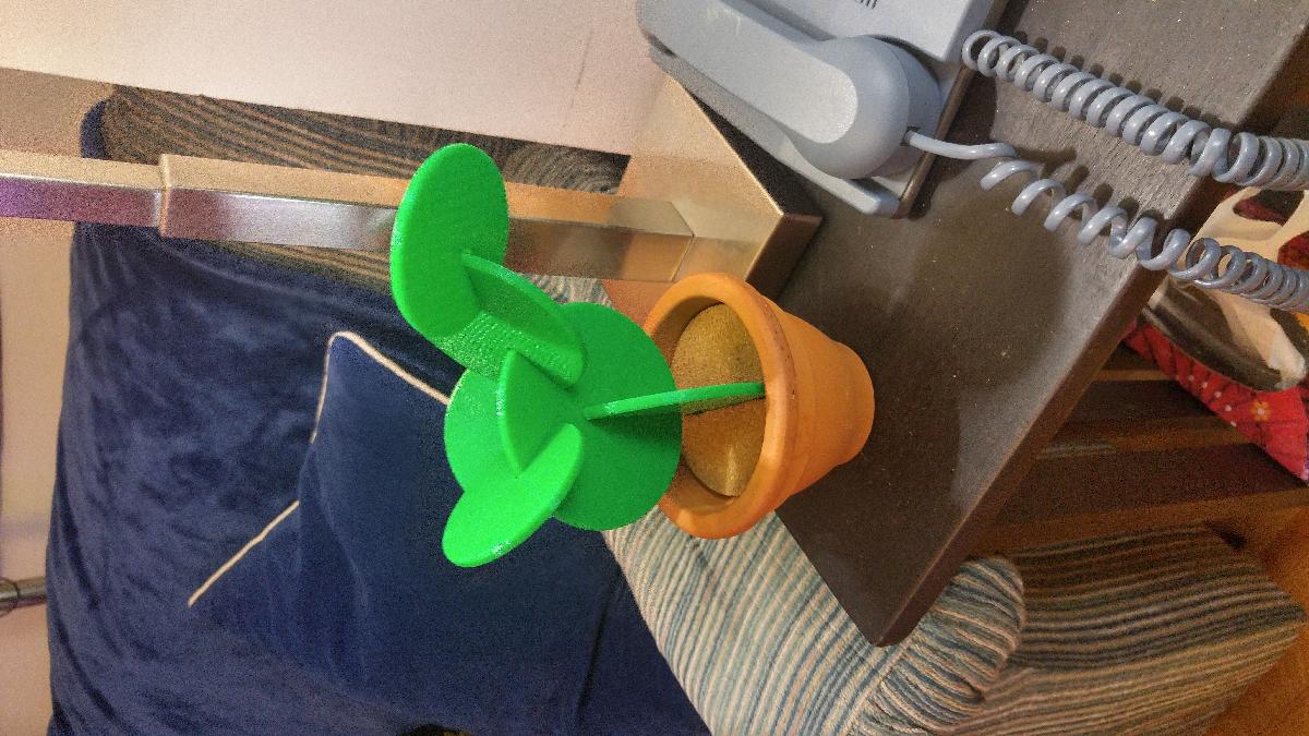 Conjunto de suportes para plantas