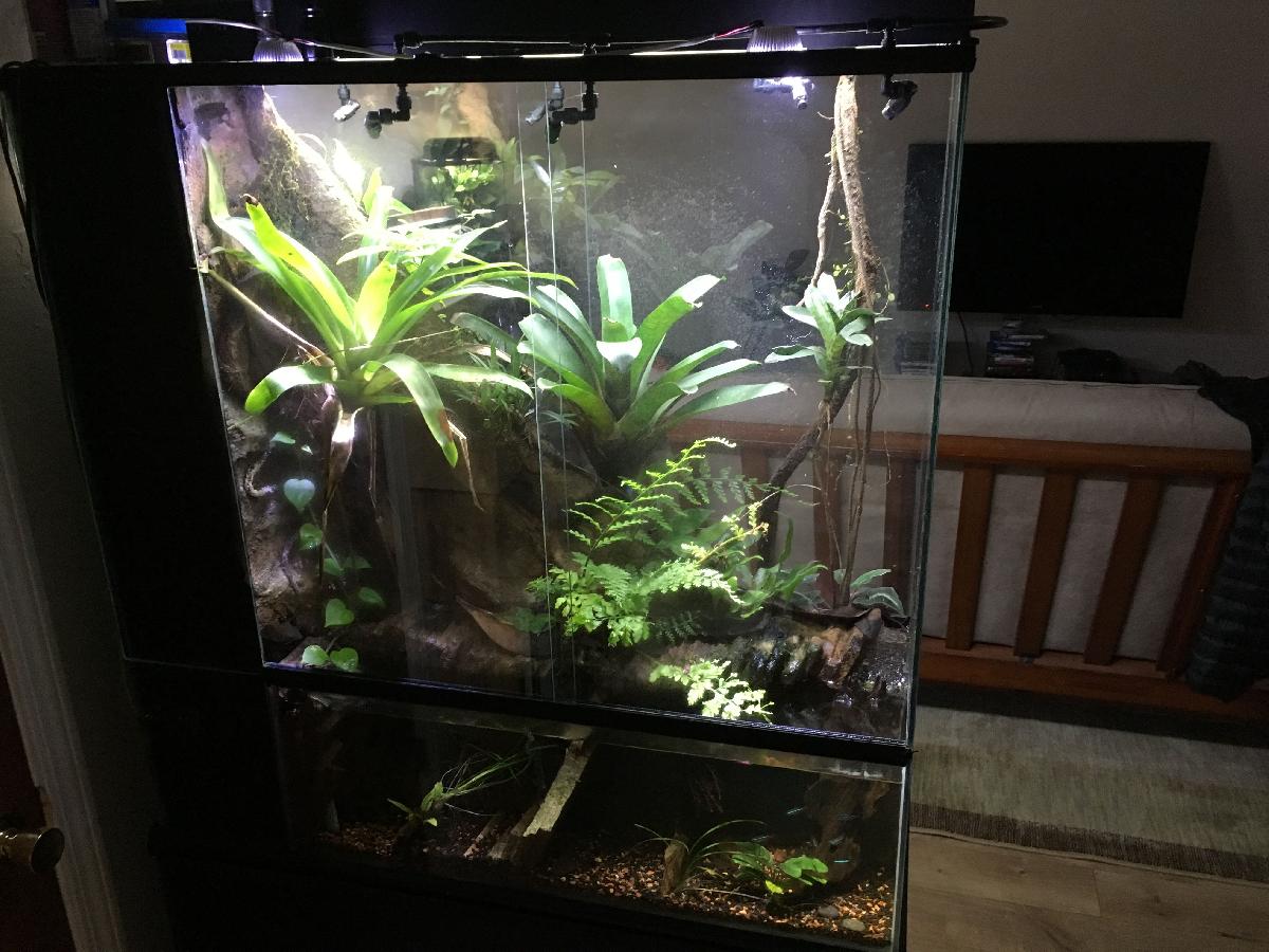 Trilho da porta do terrario