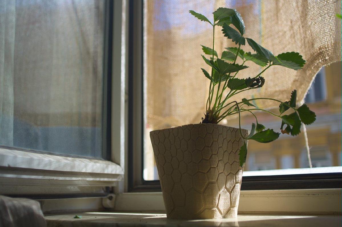 vaso de colmeia #1