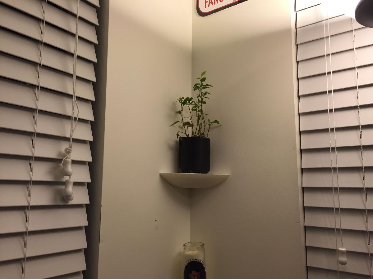 Prateleira de canto