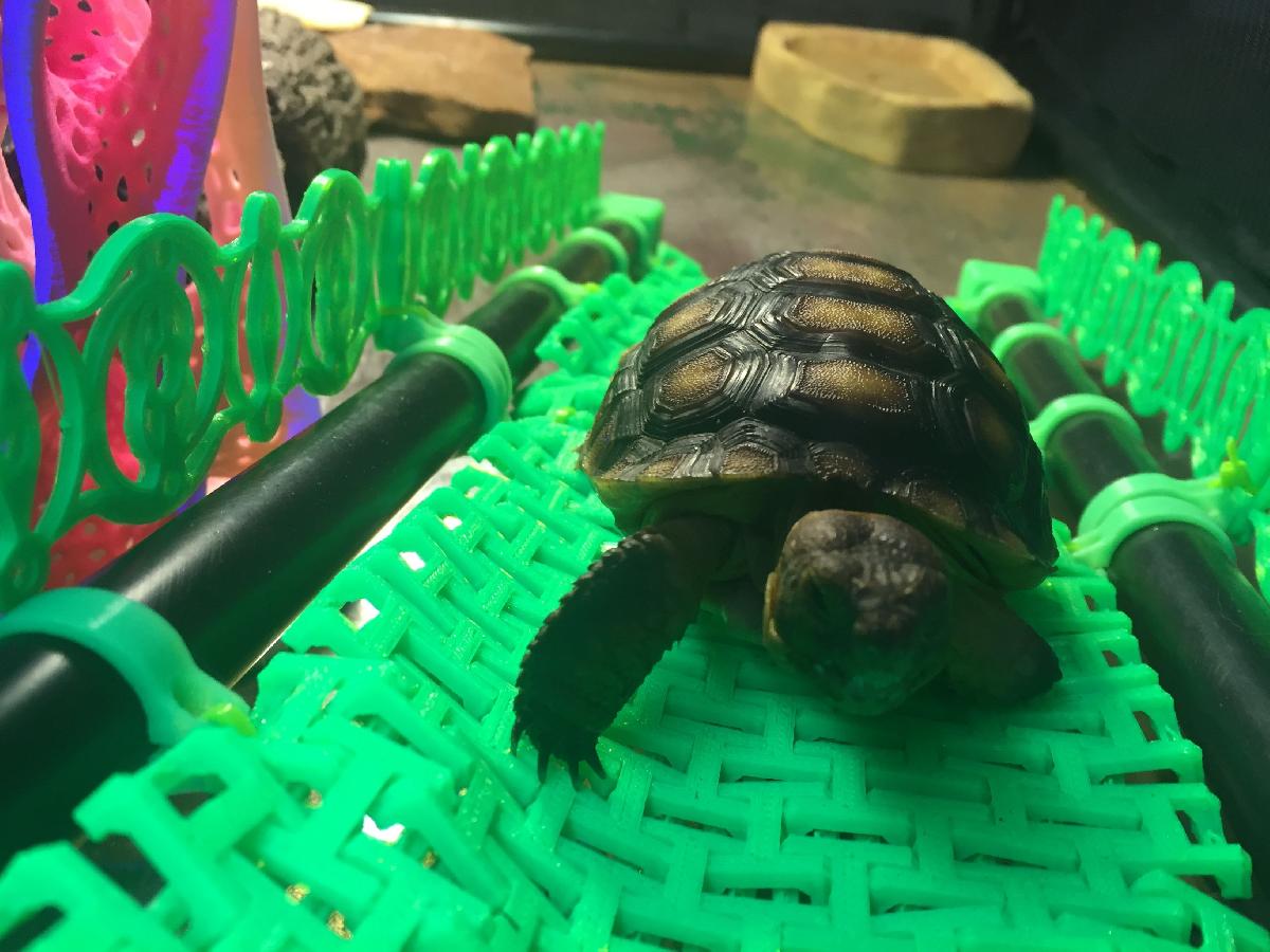 Cercado modular para pequenos animais estiloso