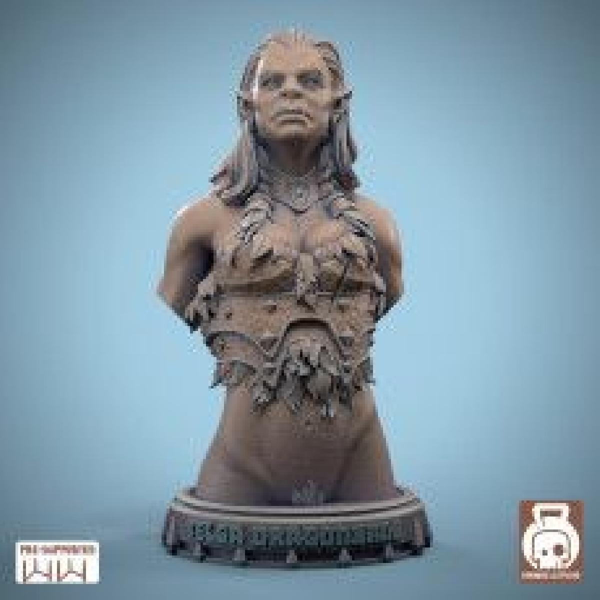 Busto de Telga Dragonbane