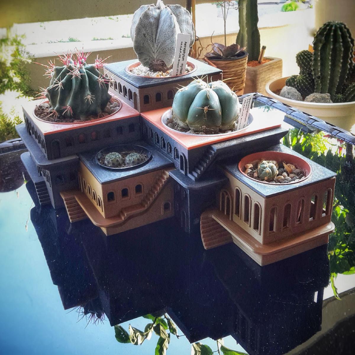 CactoHotel