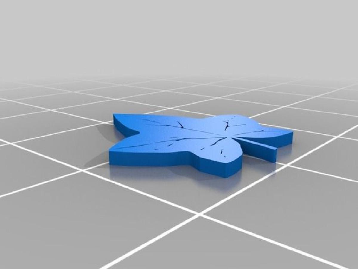 Folha de Hera Inglesa