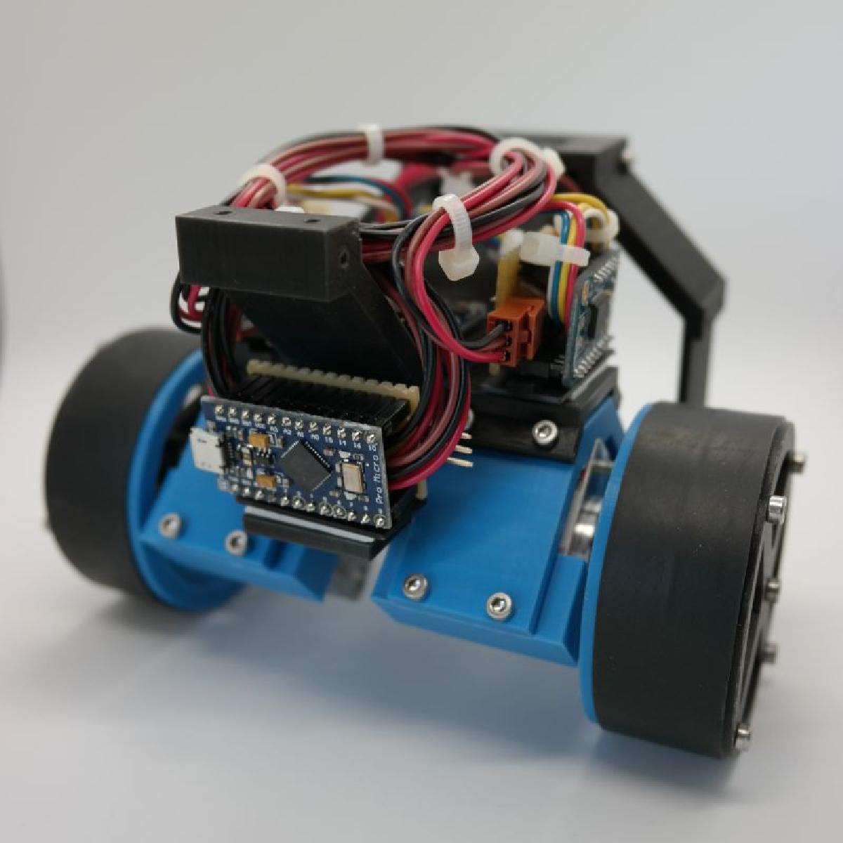 Robo Pendulo Invertido de Duas Rodas