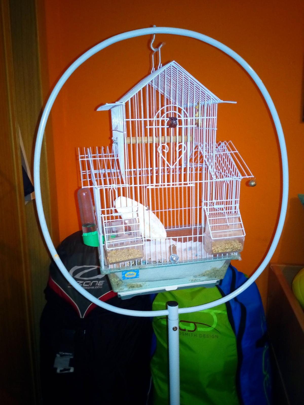 Apoio para passaros em gaiolas e parque