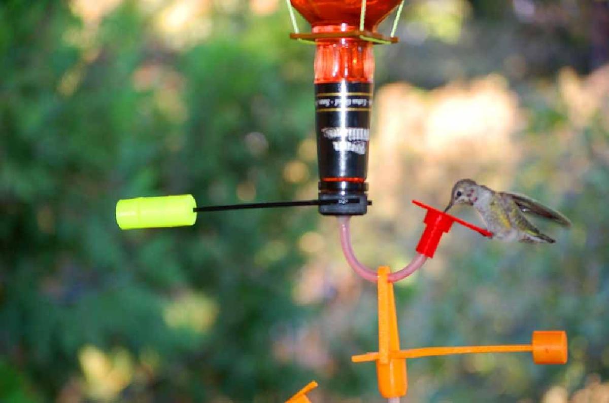 Comedouro para beija flor   Unico