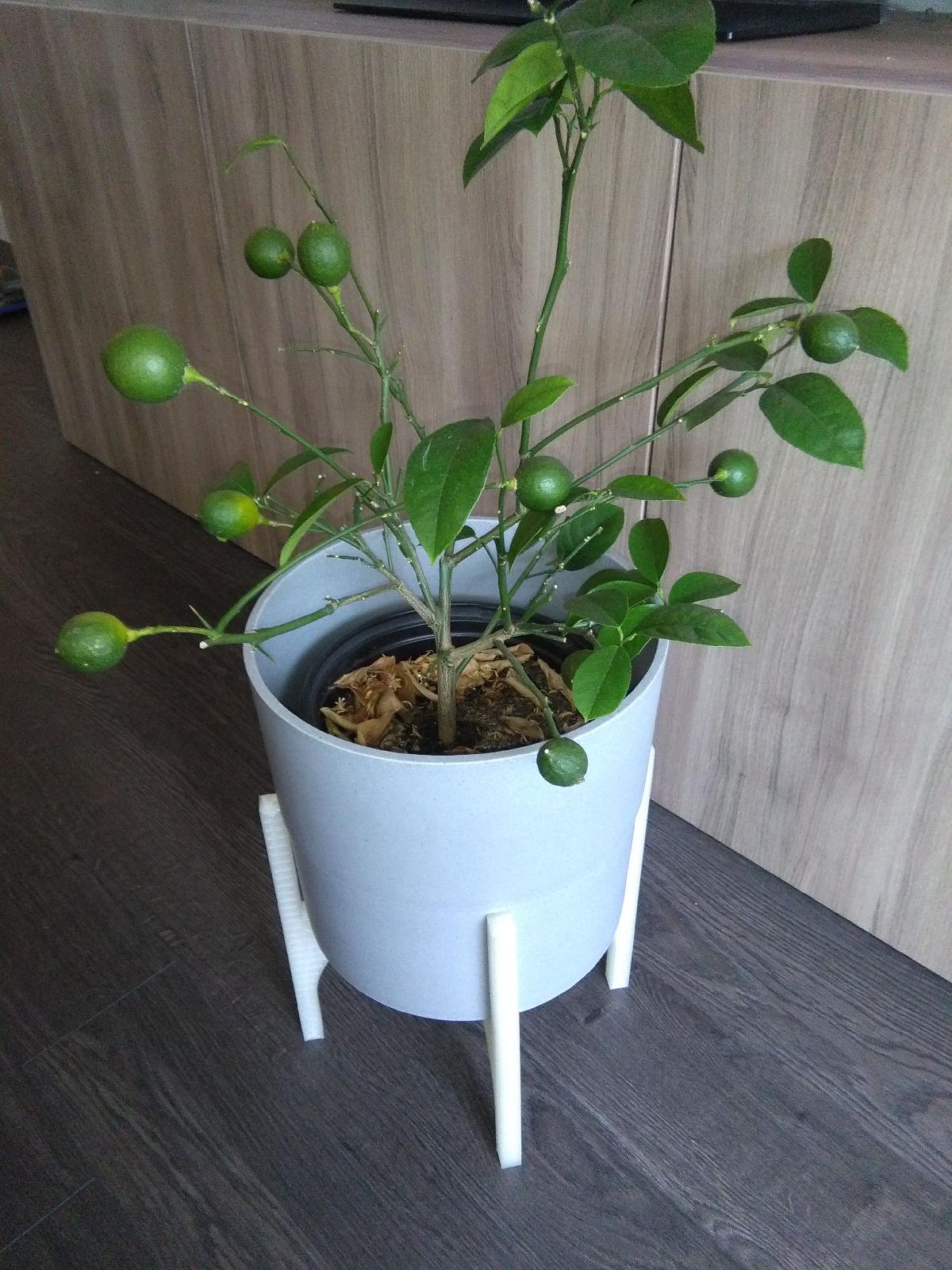 Suporte para plantas