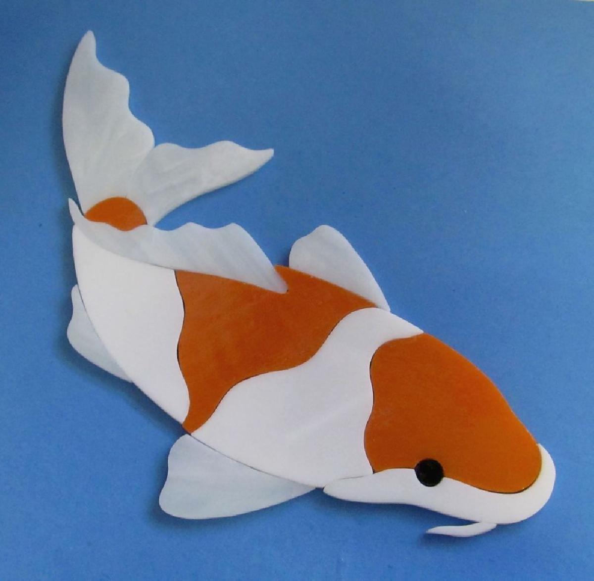 peixe koi