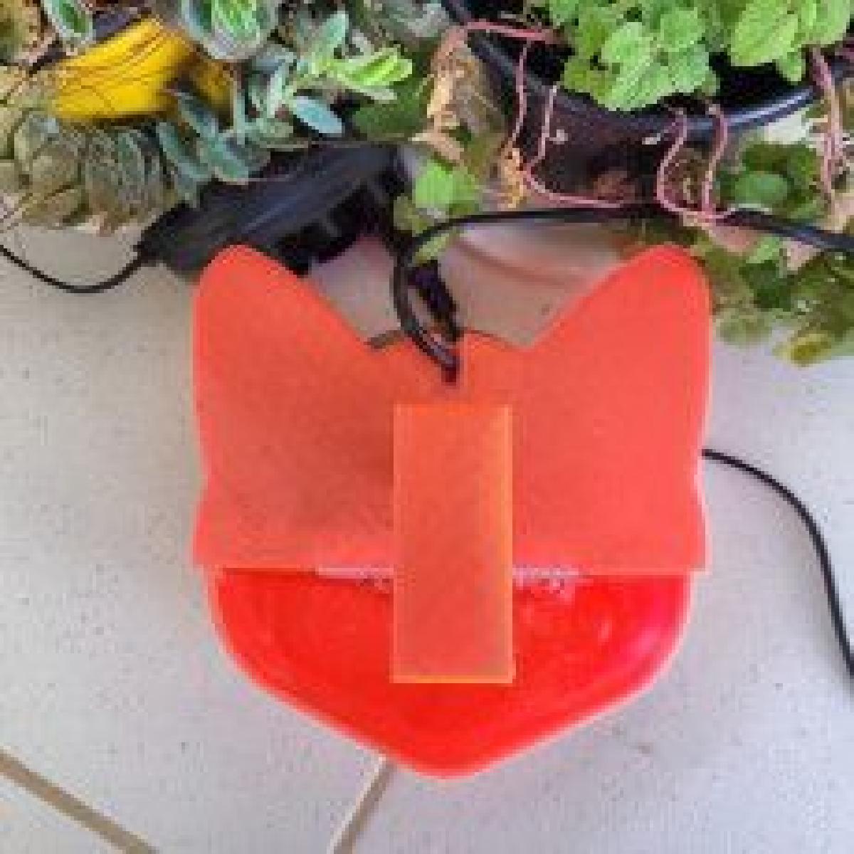 Fonte de agua para gatos