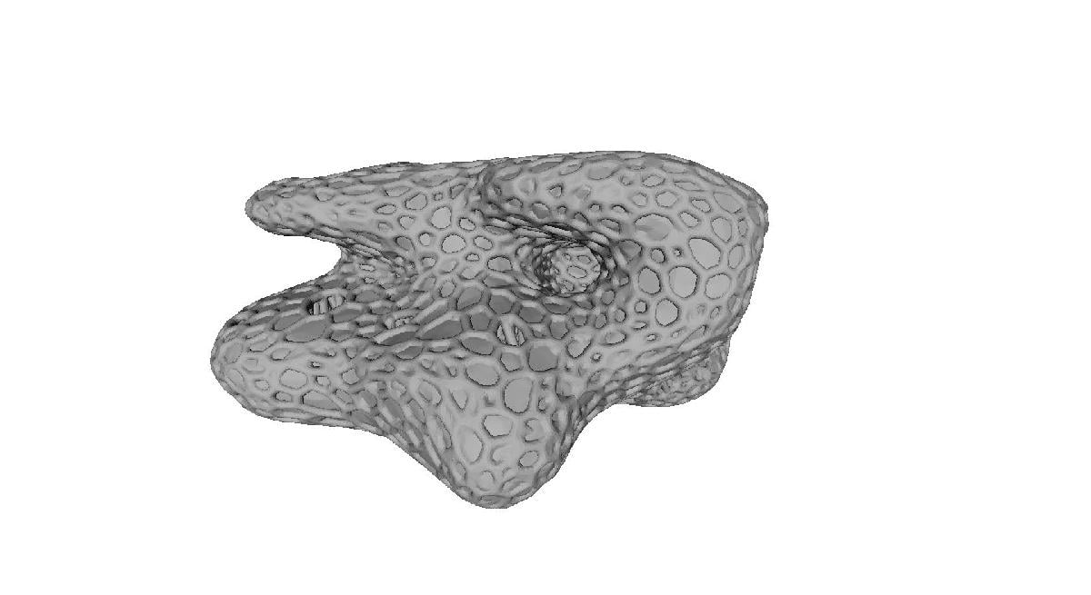 Pedra viva de recife imprimivel