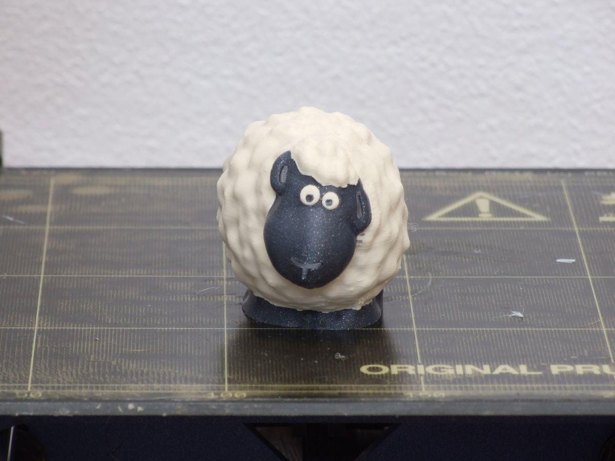 Ovelha (material unico e multiplo)
