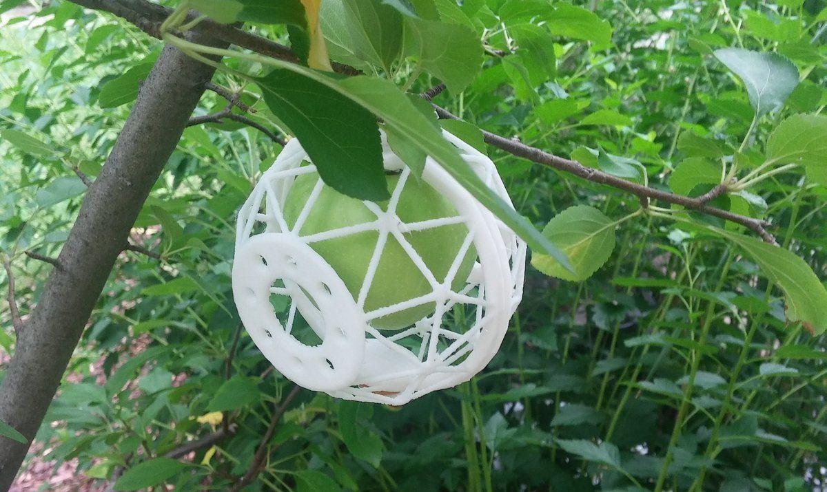 Cerca de Frutas   Proteja uma maca em amadurecimento