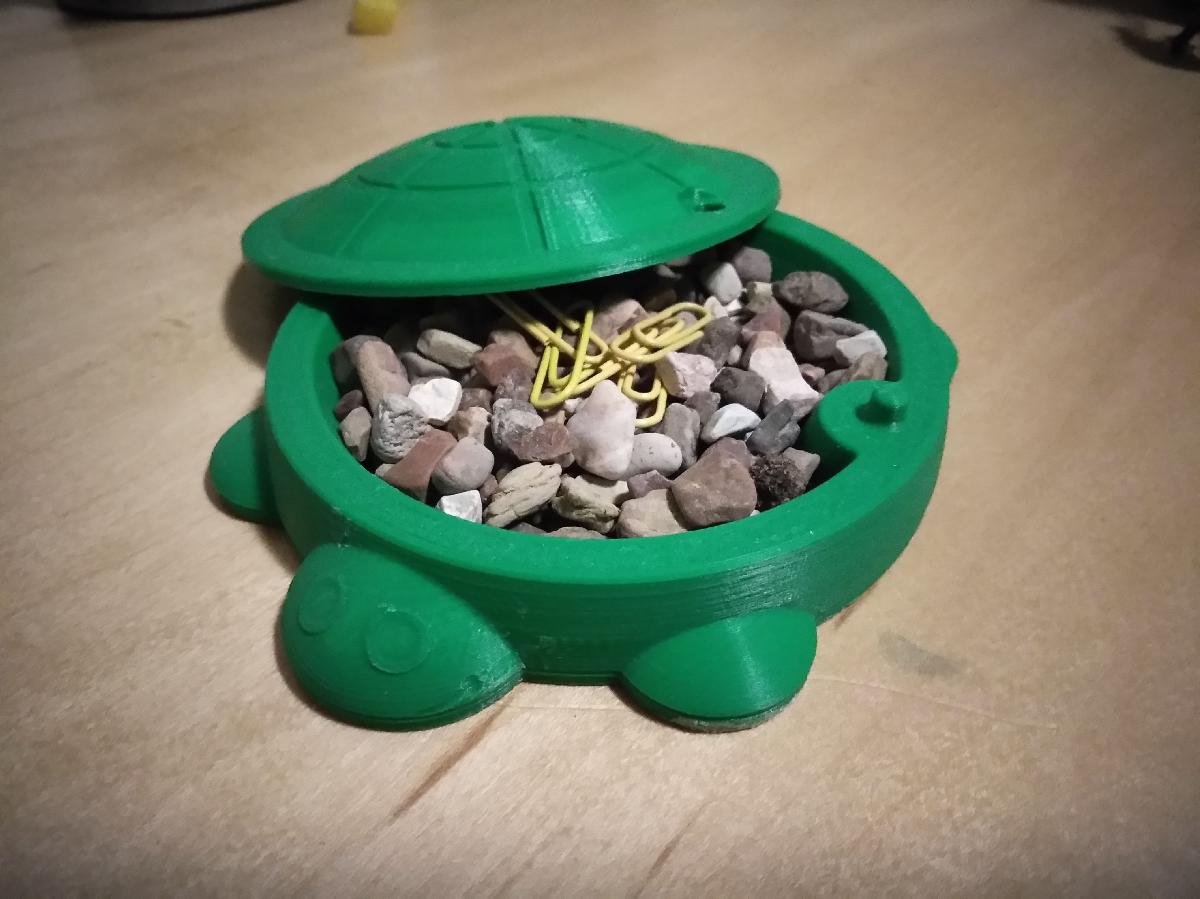 Mini Caixa de Areia para Tartarugas
