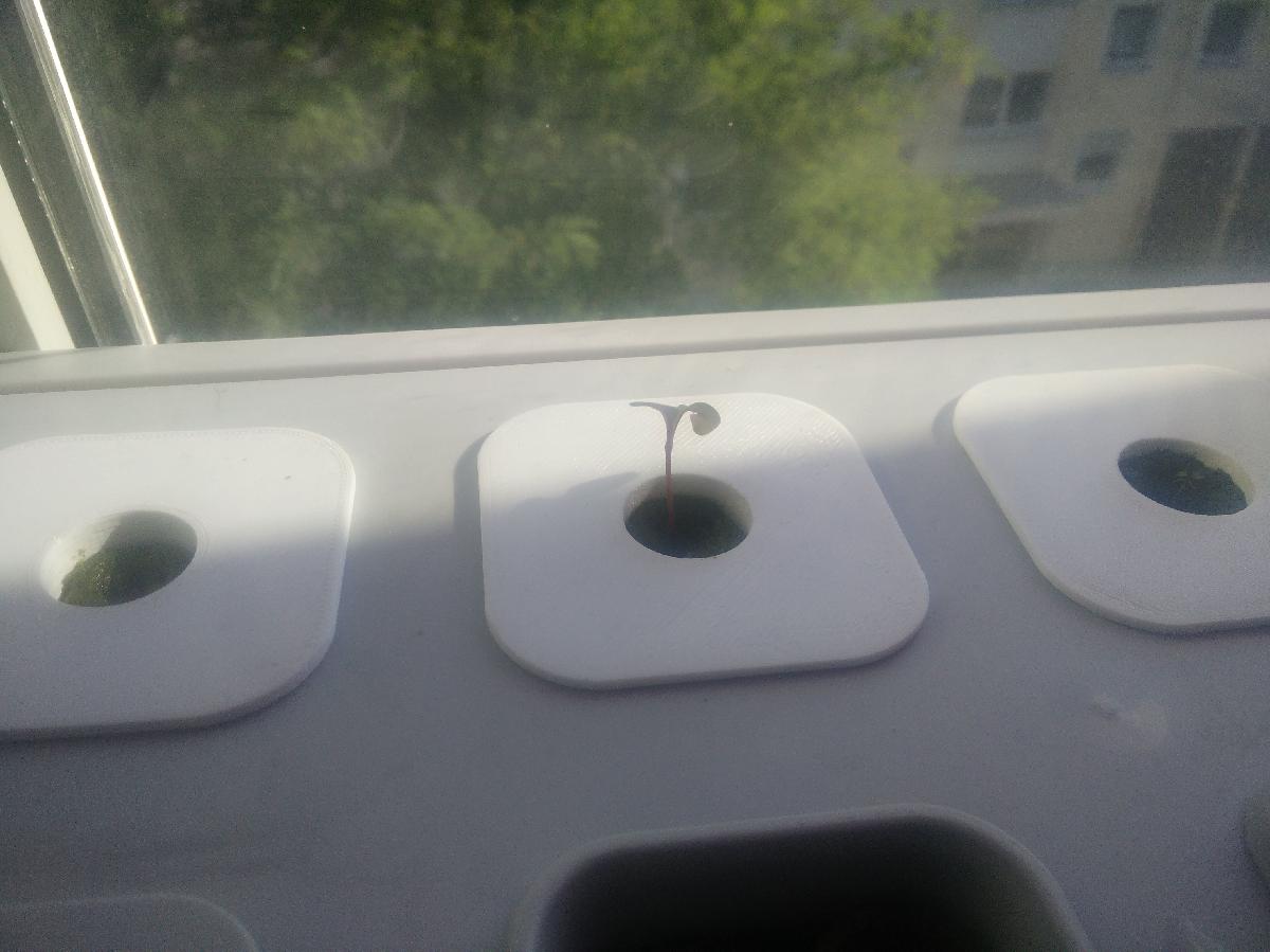 Suporte de vela de ignicao Växer