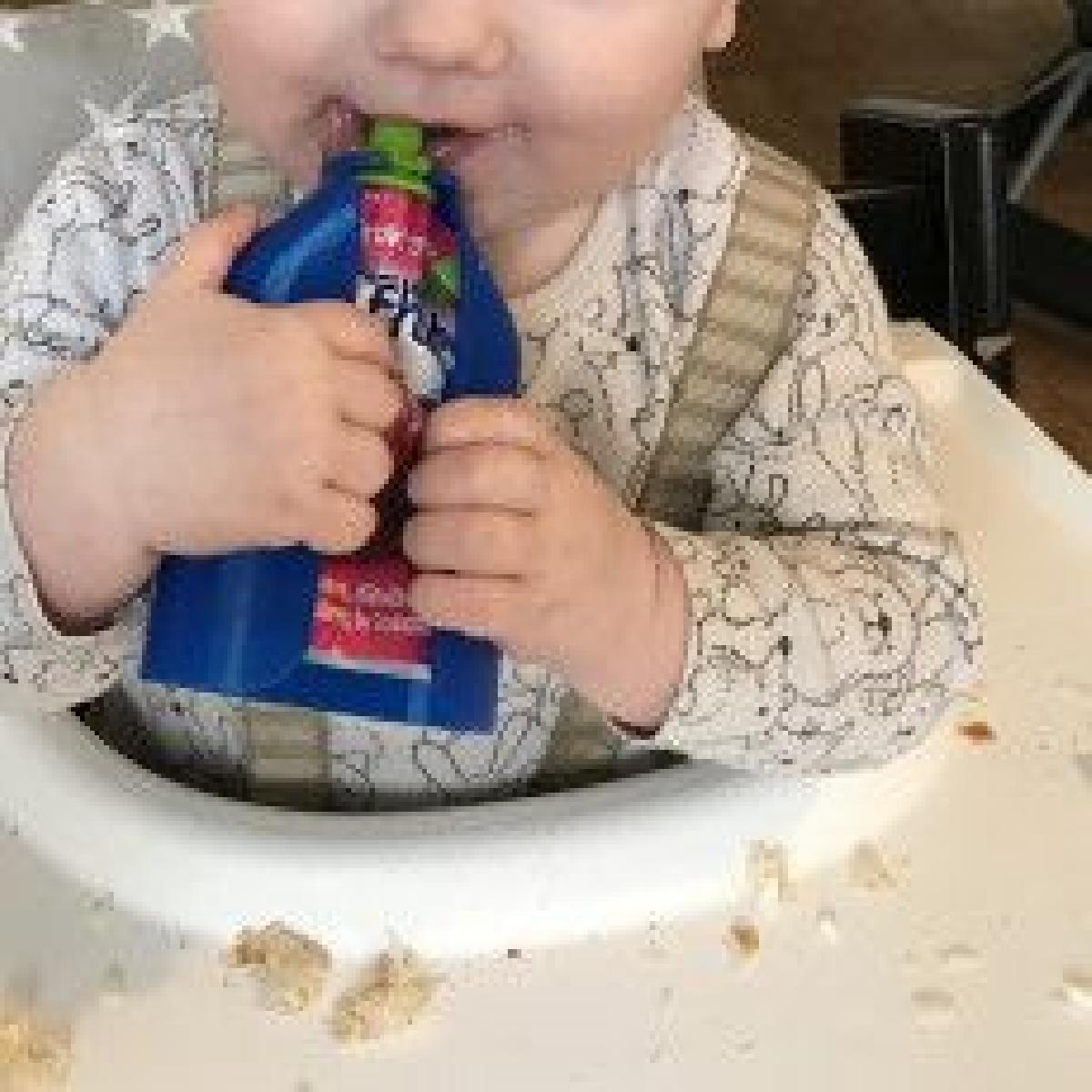 Protetor de bolsa de comida