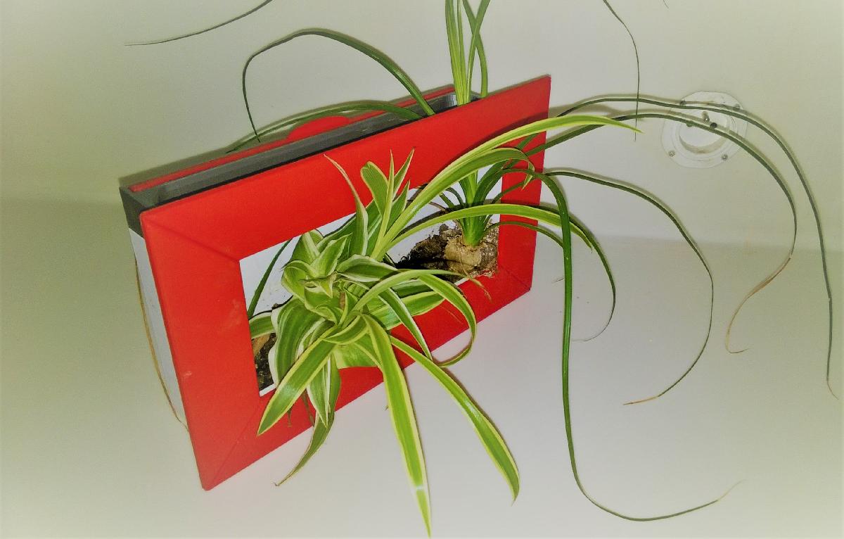 Estrutura de planta (autoirrigavel)