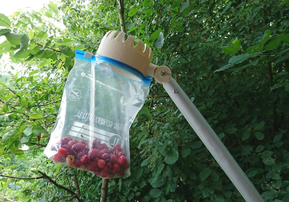Colhedor de frutas