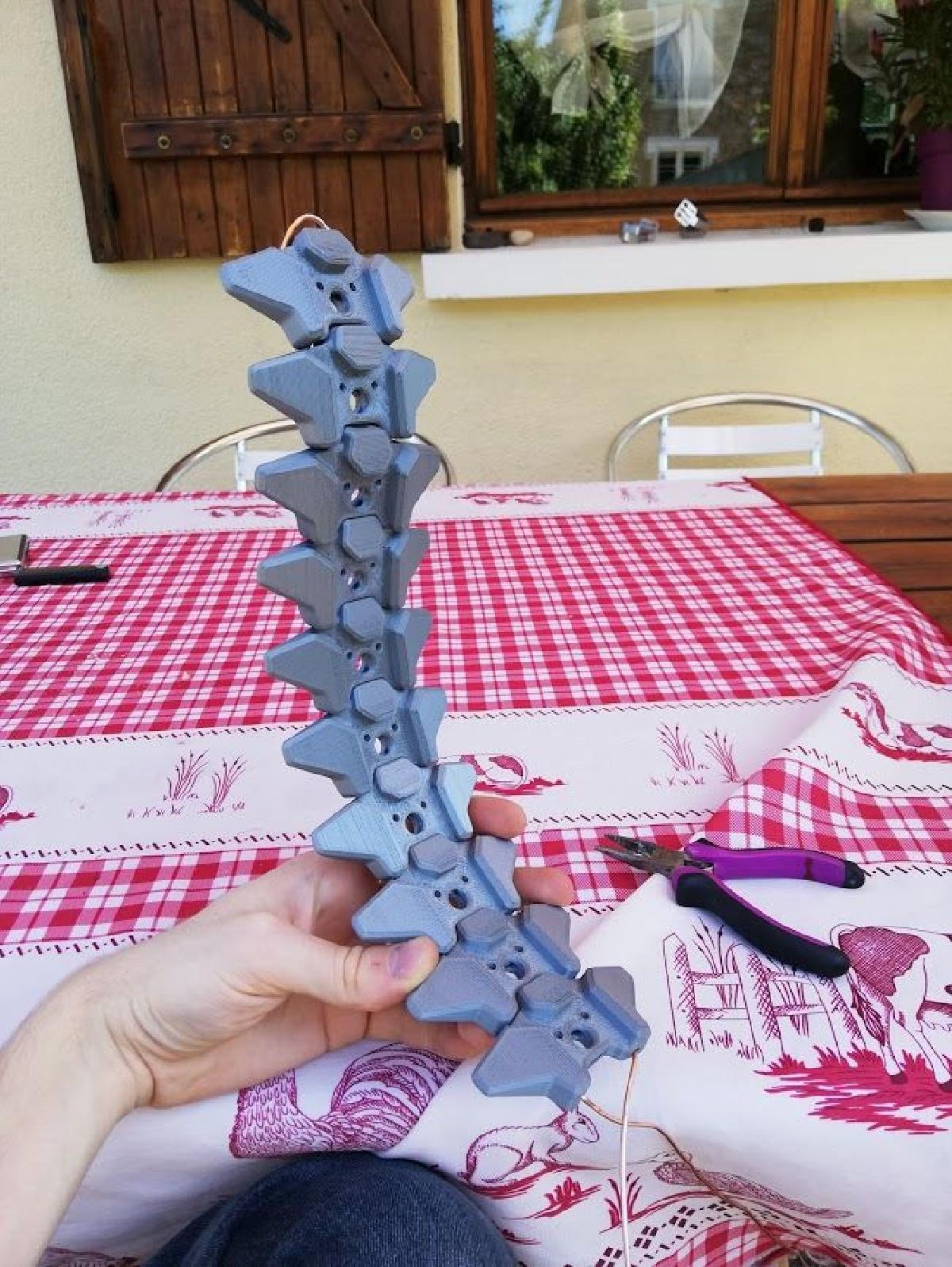 Espinha para robo ou criatura