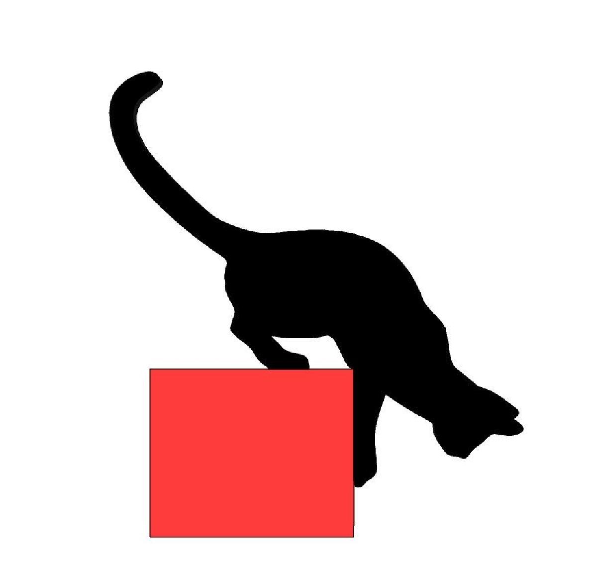 Tampa de Porta para Gato