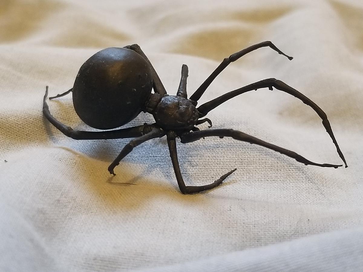Aranha Detalhada + Teia