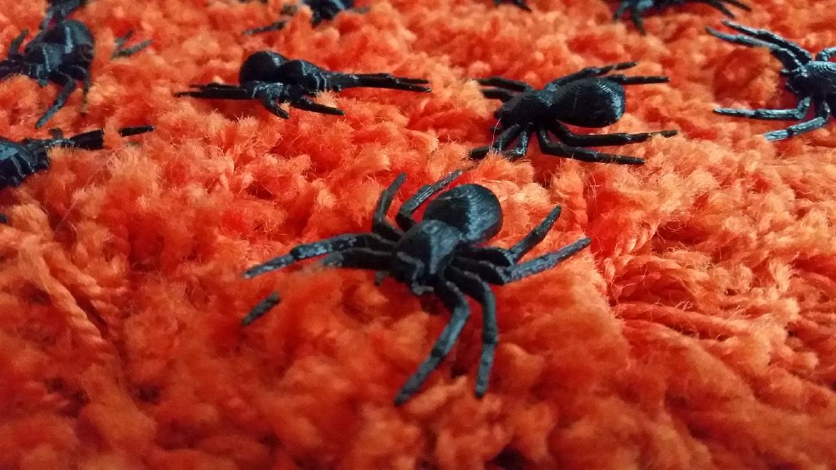 Aranha da Casa Consertada