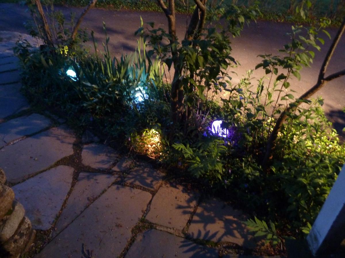 Luzes de Elfo