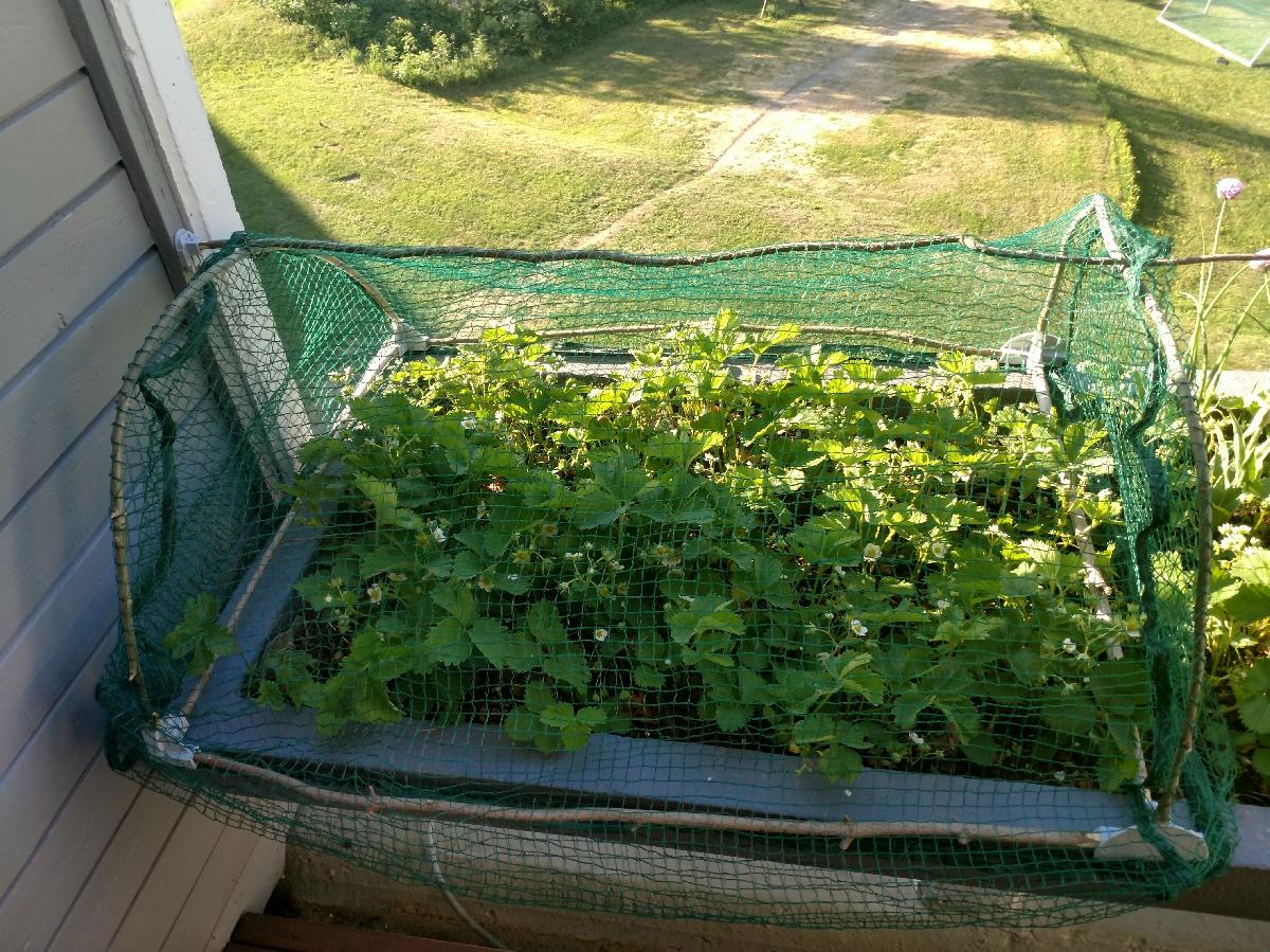 estrutura de argola de espiga para rede de jardim