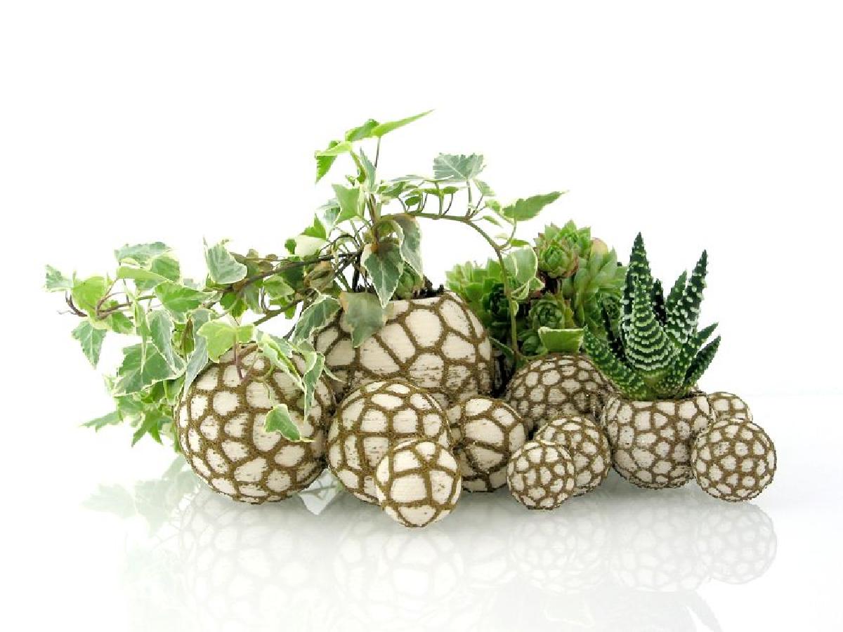 Vasos de pedra organica   Construtor de paisagens (1 ou 2 cores)