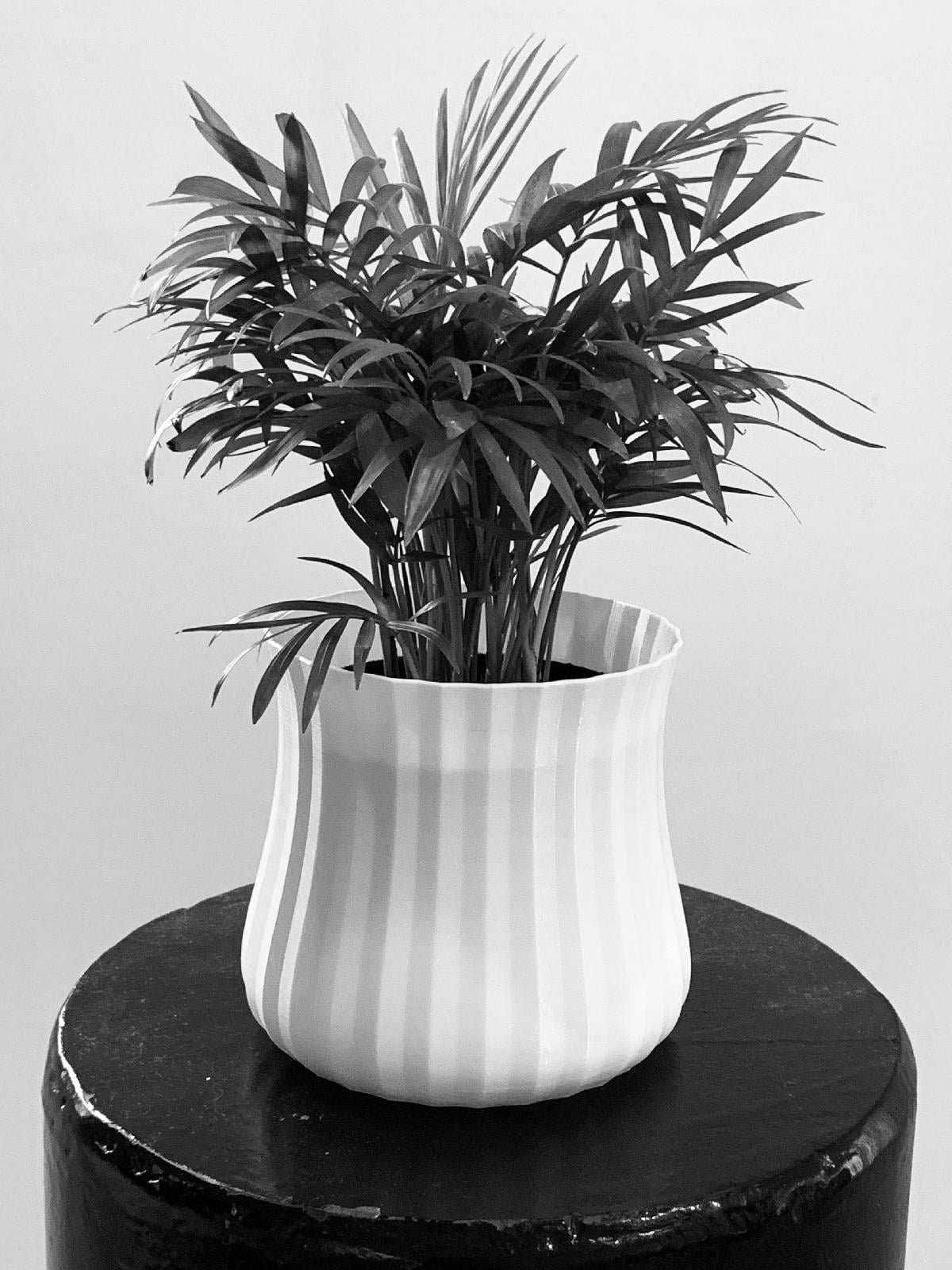 Capa de Vaso de Planta 6