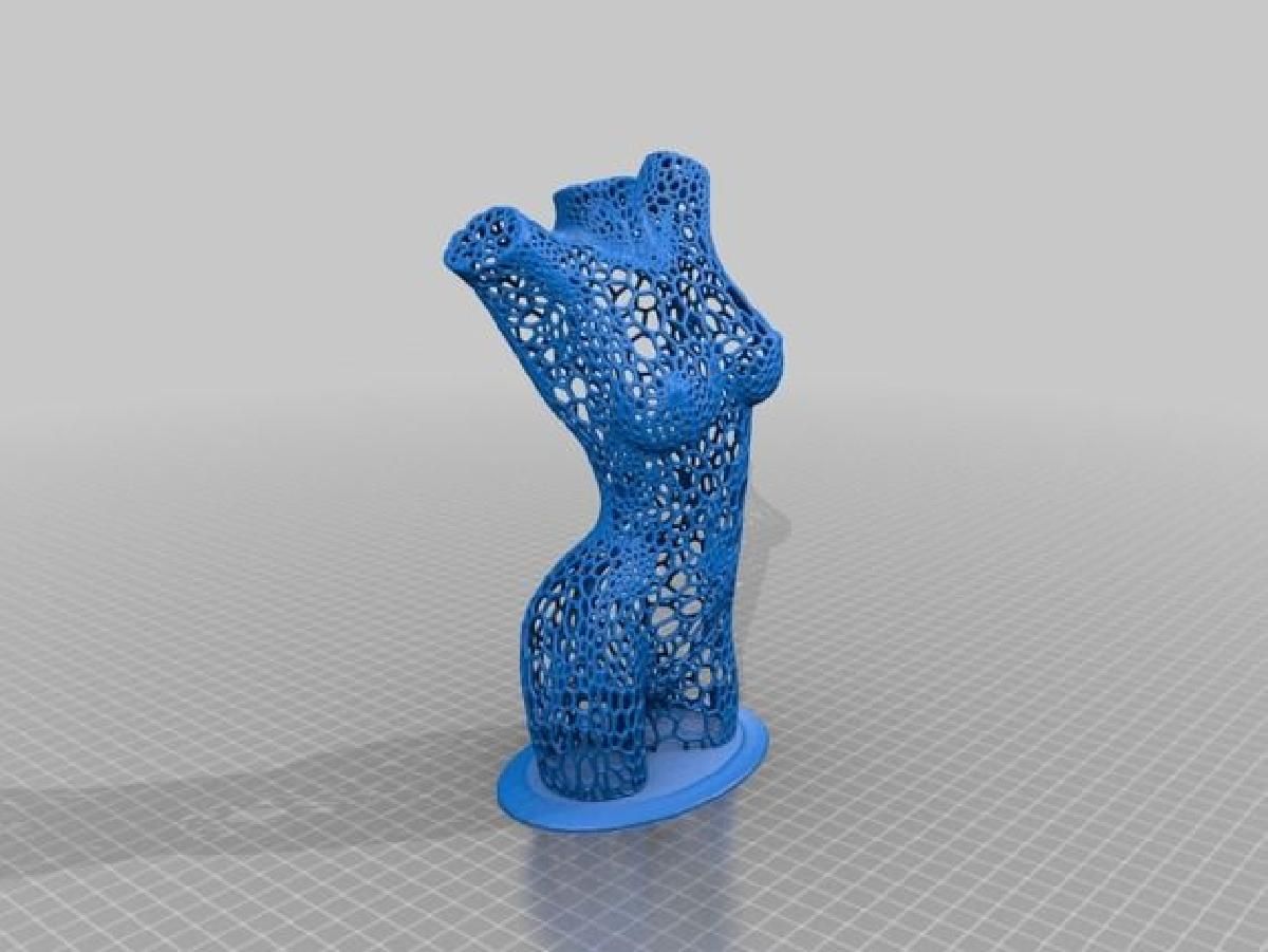Torso #2