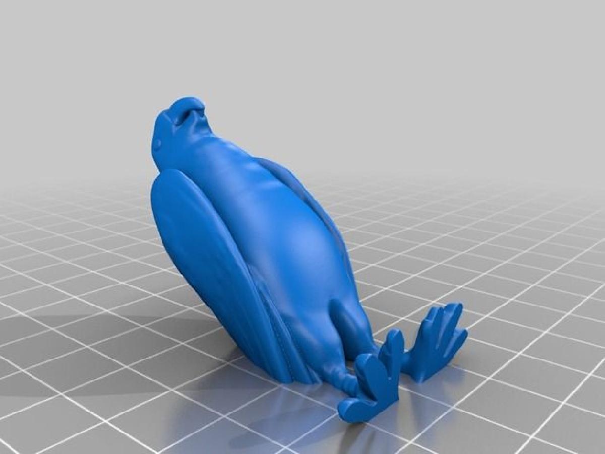 Papagaio
