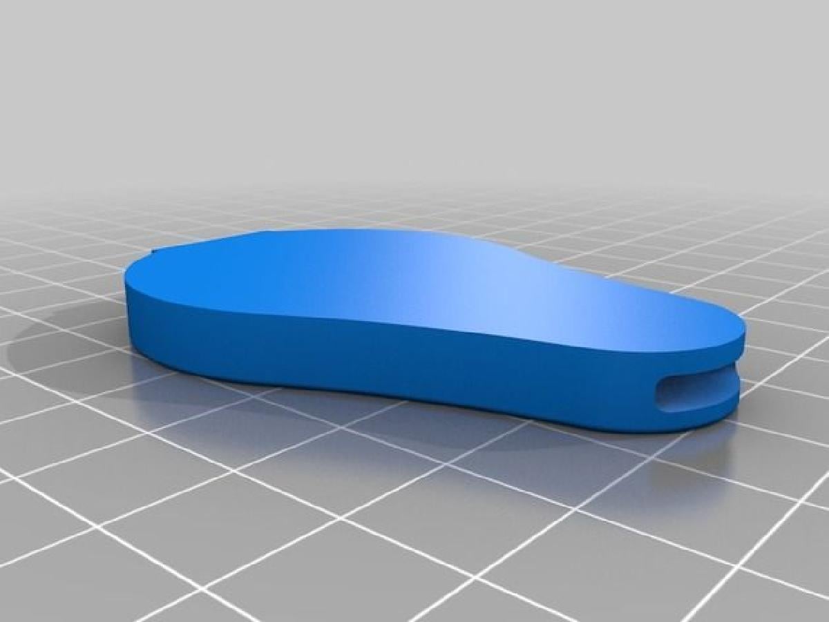 Time Valor Pokemon Go Plus