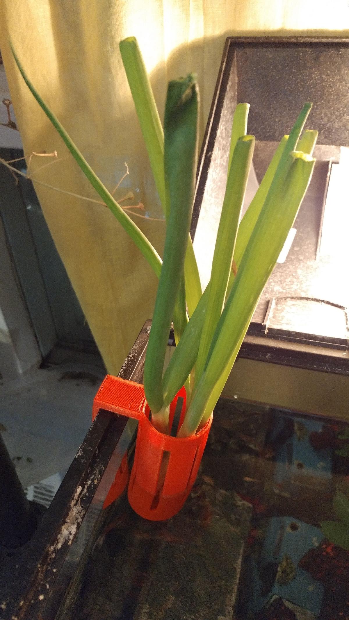 Suporte para Plantas de Aquario Hidroponico (HAPH)