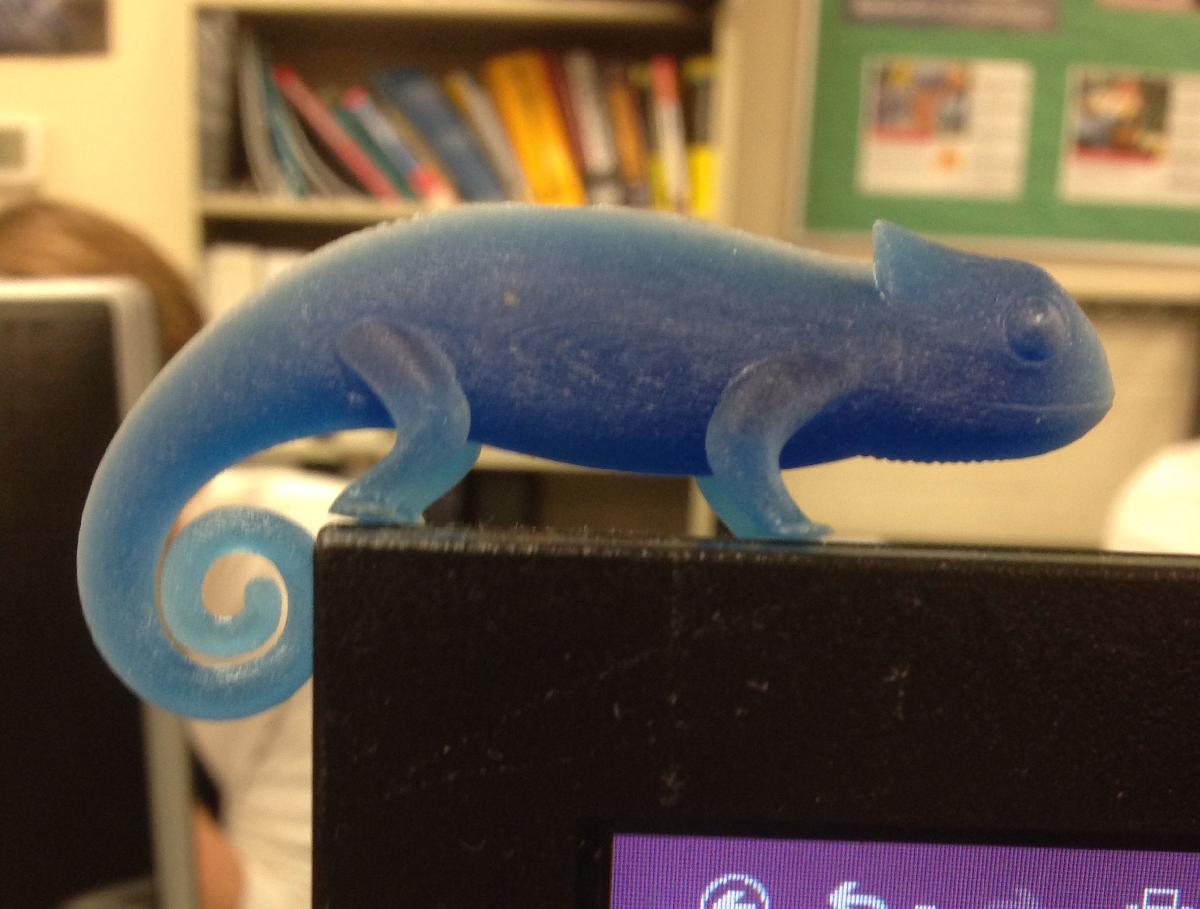 Chameleon