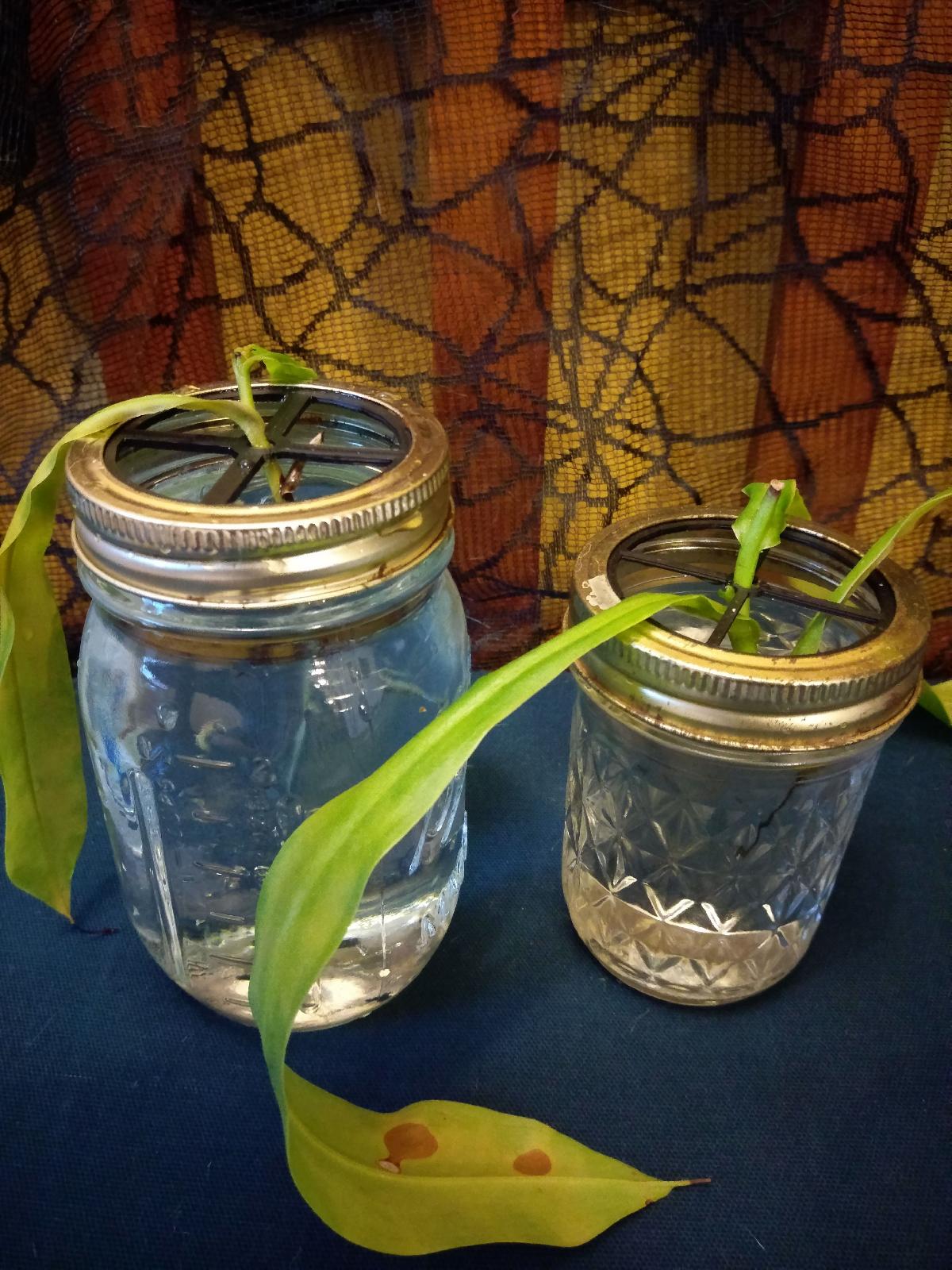 Suporte para Estacas de Plantas