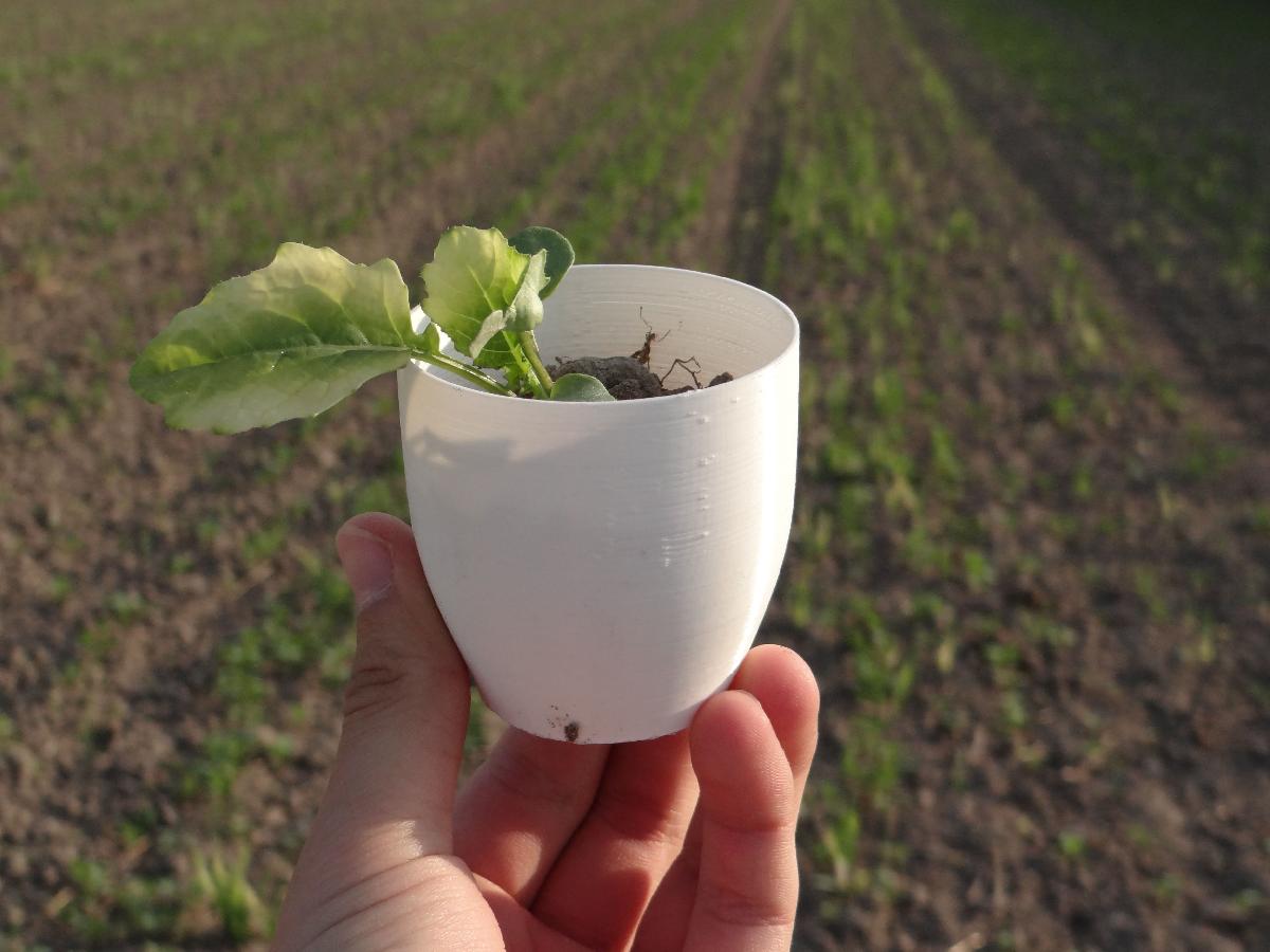 Pequeno vaso de flores