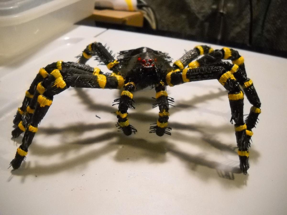 aranha tarantula assustadora hairyetta