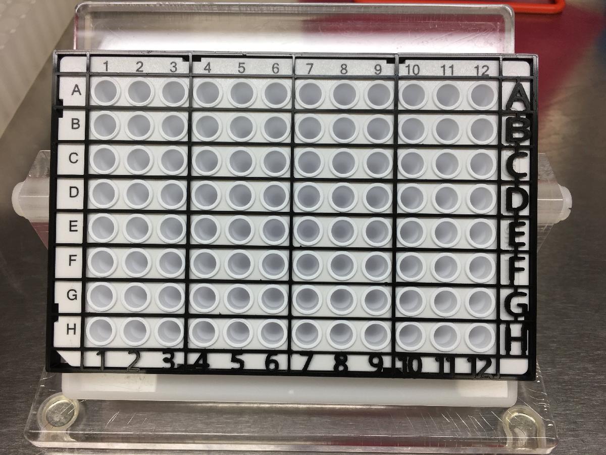 Guia de Carregamento de Placa de qPCR