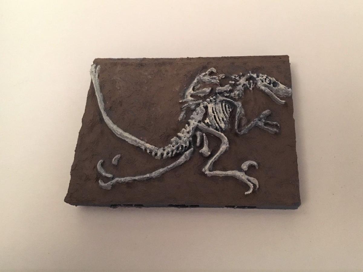 Fossil de Velociraptor Miniatura com Base Openlock