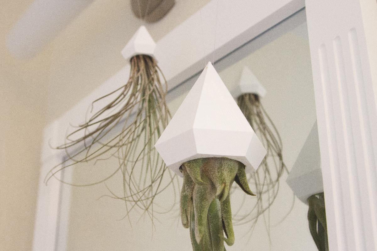 Suporte para Planta Aerea