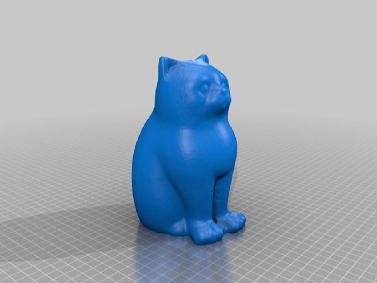 GATO A LASER