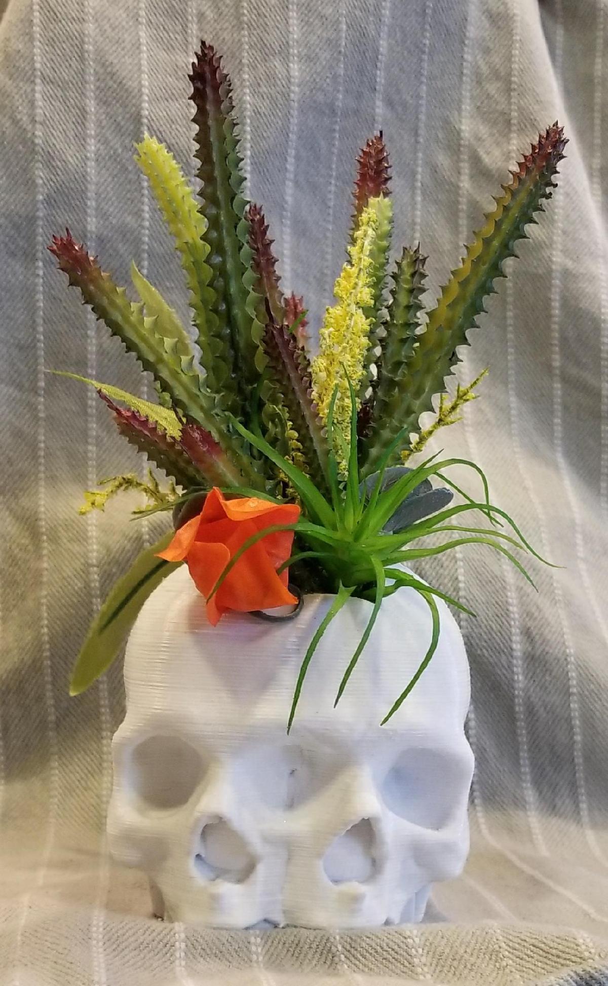 Vaso de Planta Cabeca Triclops