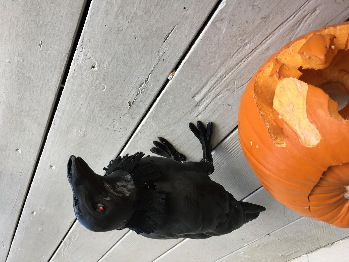 Corvo de Halloween (Animado)